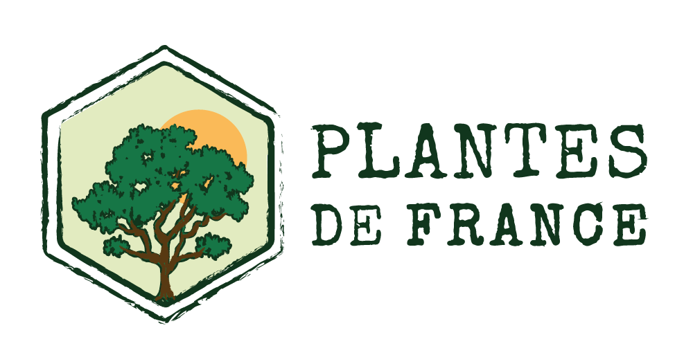 logo---Plantes-de-France---sans-fond