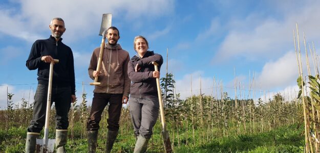 Les Bons Plants de Sat - végétaux en pots