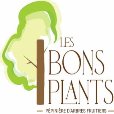 Les Bons Plants de Saint-Sat’ - Racines Nues